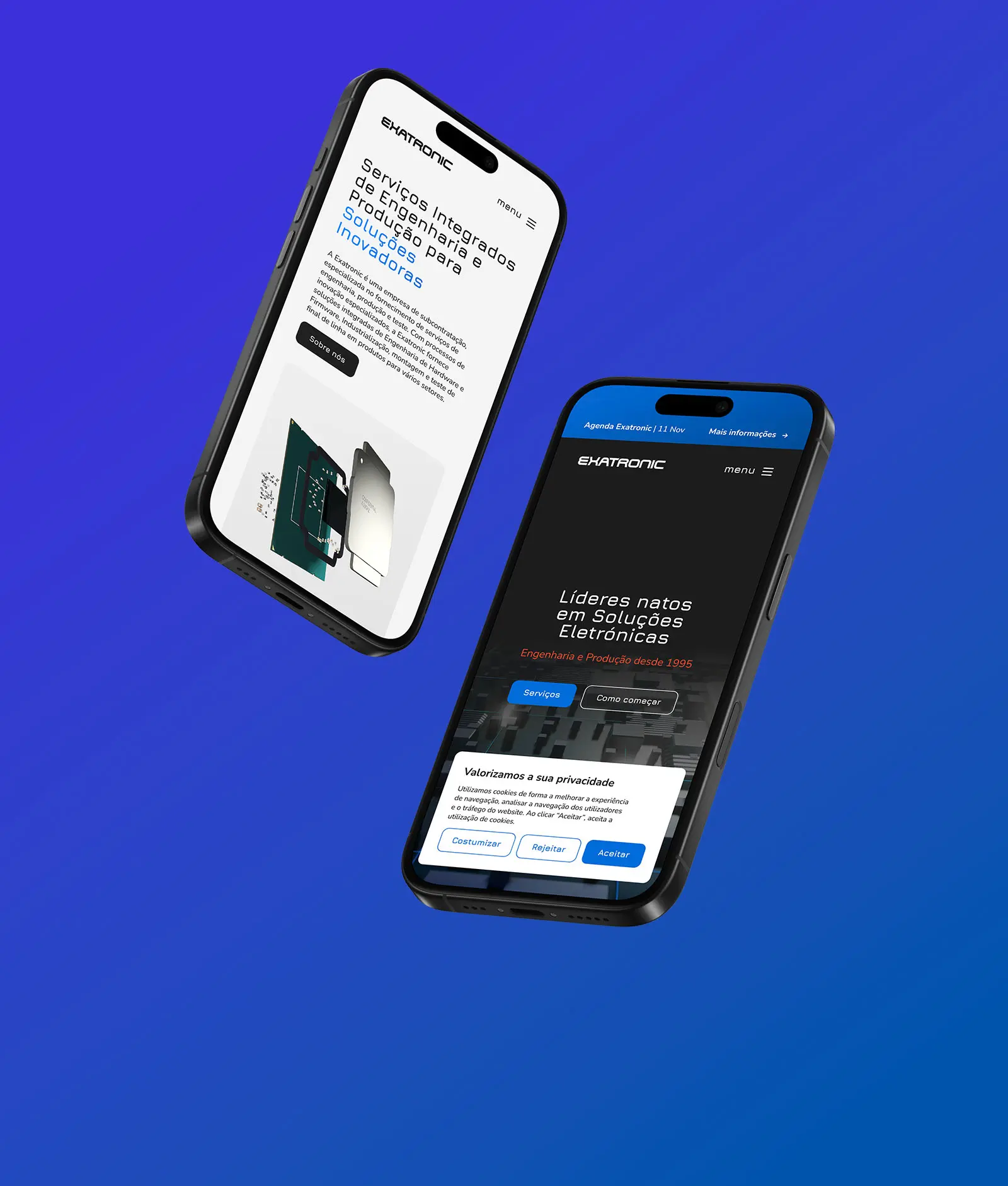Web Development